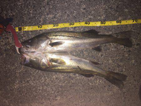 怒涛のバイトラッシュ！